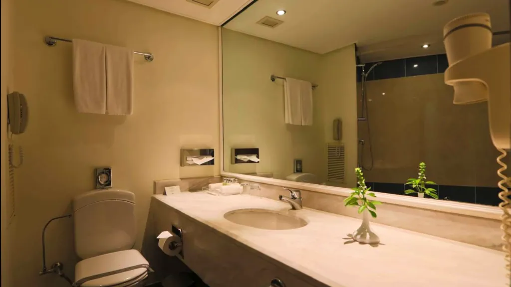 الفندق شتايجنبرجر ونيلسون فيلدج - طابا